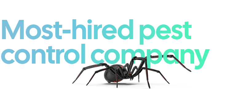 Thumbtack — most-hired pest control company in Colorado
